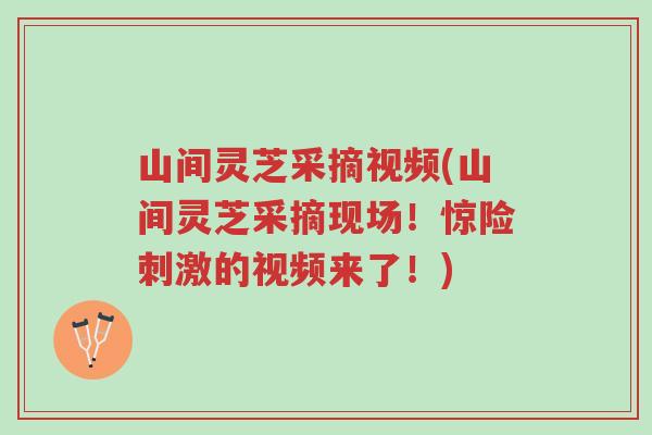 山间灵芝采摘视频(山间灵芝采摘现场！惊险刺激的视频来了！)-第1张图片-超越