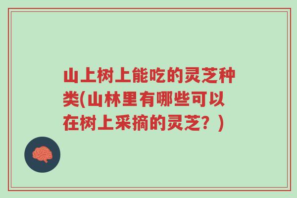 山上树上能吃的灵芝种类(山林里有哪些可以在树上采摘的灵芝?)-第1张图片-超越 山上树上能吃的灵芝种类(山林里有哪些可以在树上采摘的灵芝?)-第1张图片-超越