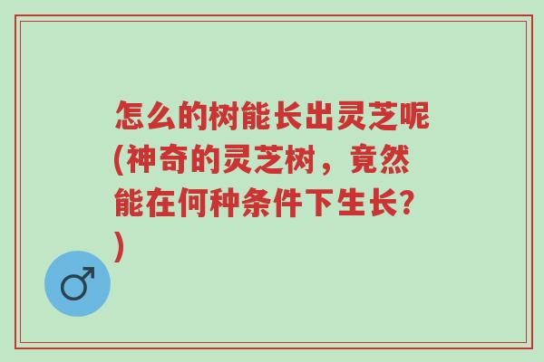 怎么的树能长出灵芝呢(神奇的灵芝树,竟然能在何种条件下生长?)-第1张图片-超越 怎么的树能长出灵芝呢(神奇的灵芝树,竟然能在何种条件下生长?)-第1张图片-超越