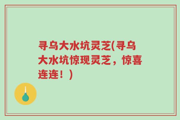 寻乌大水坑灵芝(寻乌大水坑惊现灵芝,惊喜连连!)-第1张图片-超越 寻乌大水坑灵芝(寻乌大水坑惊现灵芝,惊喜连连!)-第1张图片-超越