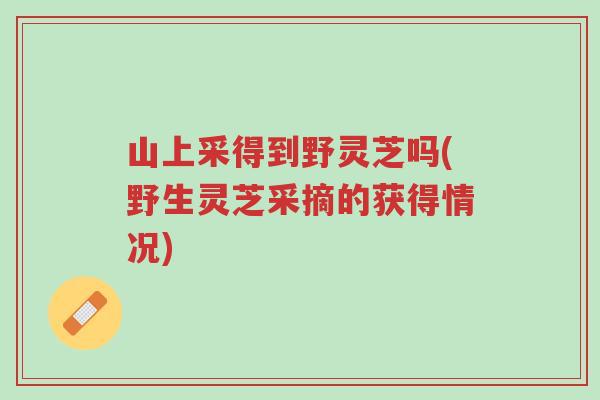 山上采得到野灵芝吗(野生灵芝采摘的获得情况)-第1张图片-超越 山上采得到野灵芝吗(野生灵芝采摘的获得情况)-第1张图片-超越