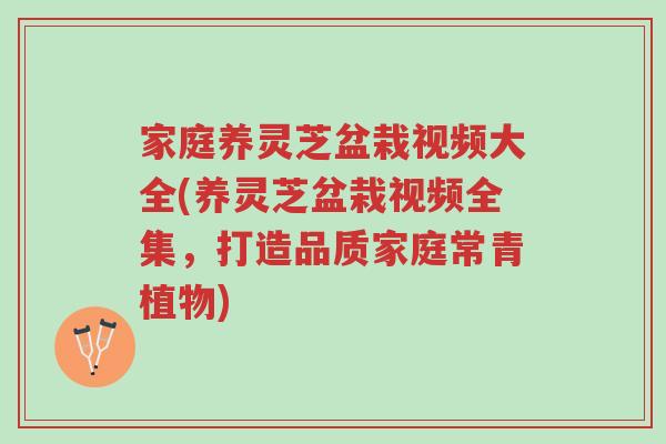 家庭养灵芝盆栽视频大全(养灵芝盆栽视频全集,打造品质家庭常青植物)-第1张图片-超越 家庭养灵芝盆栽视频大全(养灵芝盆栽视频全集,打造品质家庭常青植物)-第1张图片-超越