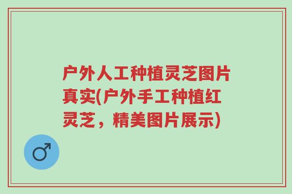 户外人工种植灵芝图片真实(户外手工种植红灵芝,精美图片展示)-第1张图片-超越 户外人工种植灵芝图片真实(户外手工种植红灵芝,精美图片展示)-第1张图片-超越