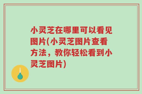 小灵芝在哪里可以看见图片(小灵芝图片查看方法,教你轻松看到小灵芝图片)-第1张图片-超越 小灵芝在哪里可以看见图片(小灵芝图片查看方法,教你轻松看到小灵芝图片)-第1张图片-超越