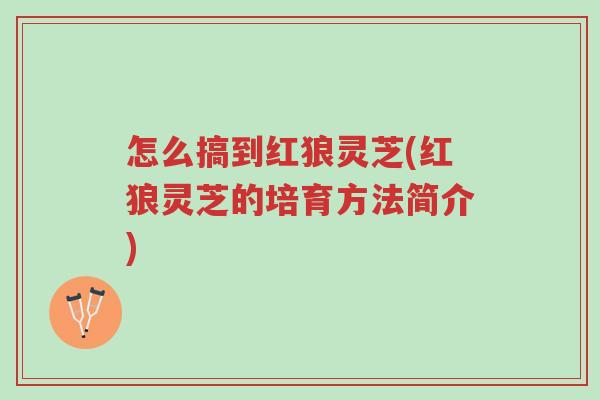 怎么搞到红狼灵芝(红狼灵芝的培育方法简介)-第1张图片-超越 怎么搞到红狼灵芝(红狼灵芝的培育方法简介)-第1张图片-超越