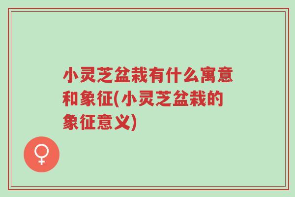 小灵芝盆栽有什么寓意和象征(小灵芝盆栽的象征意义)-第1张图片-超越 小灵芝盆栽有什么寓意和象征(小灵芝盆栽的象征意义)-第1张图片-超越