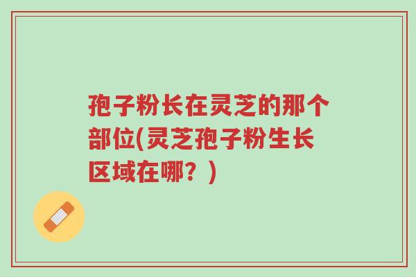孢子粉长在灵芝的那个部位(灵芝孢子粉生长区域在哪?)-第1张图片-超越 孢子粉长在灵芝的那个部位(灵芝孢子粉生长区域在哪?)-第1张图片-超越