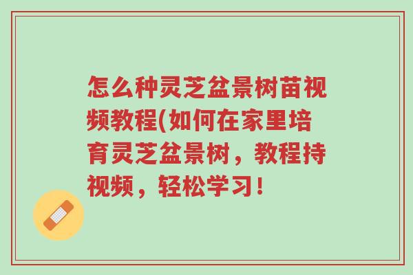 怎么种灵芝盆景树苗视频教程(如何在家里培育灵芝盆景树,教程持视频,轻松学习!-第1张图片-超越 怎么种灵芝盆景树苗视频教程(如何在家里培育灵芝盆景树,教程持视频,轻松学习!-第1张图片-超越