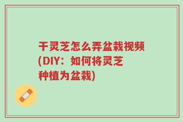 干灵芝怎么弄盆栽视频(DIY:如何将灵芝种植为盆栽)-第1张图片-超越 干灵芝怎么弄盆栽视频(DIY:如何将灵芝种植为盆栽)-第1张图片-超越
