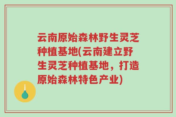 云南原始森林野生灵芝种植基地(云南建立野生灵芝种植基地,打造原始森林特色产业)-第1张图片-超越 云南原始森林野生灵芝种植基地(云南建立野生灵芝种植基地,打造原始森林特色产业)-第1张图片-超越