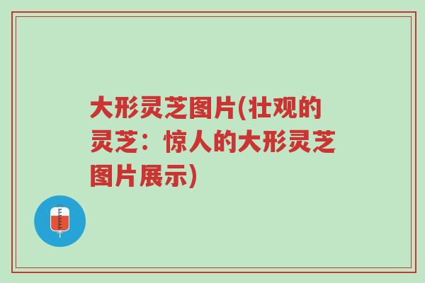 大形灵芝图片(壮观的灵芝:惊人的大形灵芝图片展示)-第1张图片-超越 大形灵芝图片(壮观的灵芝:惊人的大形灵芝图片展示)-第1张图片-超越