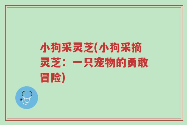 小狗采灵芝(小狗采摘灵芝:一只宠物的勇敢冒险)-第1张图片-超越 小狗采灵芝(小狗采摘灵芝:一只宠物的勇敢冒险)-第1张图片-超越