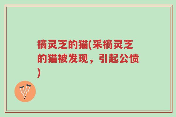 摘灵芝的猫(采摘灵芝的猫被发现,引起公愤)-第1张图片-超越 摘灵芝的猫(采摘灵芝的猫被发现,引起公愤)-第1张图片-超越