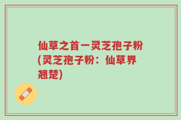仙草之首一灵芝孢子粉(灵芝孢子粉：仙草界翘楚)-第1张图片-超越