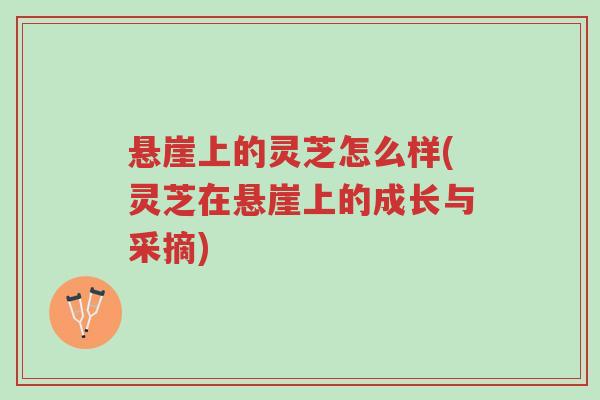 悬崖上的灵芝怎么样(灵芝在悬崖上的成长与采摘)-第1张图片-超越 悬崖上的灵芝怎么样(灵芝在悬崖上的成长与采摘)-第1张图片-超越