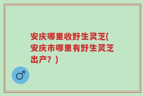 安庆哪里收野生灵芝(安庆市哪里有野生灵芝出产?)-第1张图片-超越 安庆哪里收野生灵芝(安庆市哪里有野生灵芝出产?)-第1张图片-超越