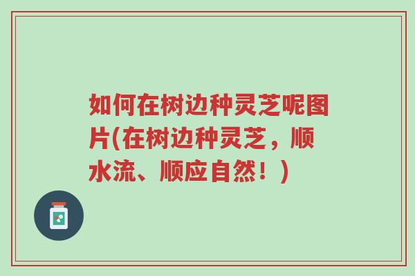 如何在树边种灵芝呢图片(在树边种灵芝,顺水流、顺应自然!)-第1张图片-超越 如何在树边种灵芝呢图片(在树边种灵芝,顺水流、顺应自然!)-第1张图片-超越