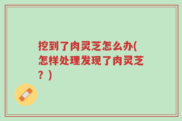 挖到了肉灵芝怎么办(怎样处理发现了肉灵芝?)-第1张图片-超越 挖到了肉灵芝怎么办(怎样处理发现了肉灵芝?)-第1张图片-超越