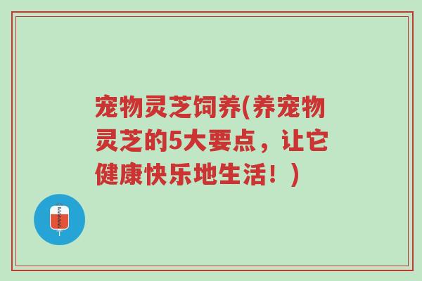 宠物灵芝饲养(养宠物灵芝的5大要点,让它健康快乐地生活!)-第1张图片-超越 宠物灵芝饲养(养宠物灵芝的5大要点,让它健康快乐地生活!)-第1张图片-超越