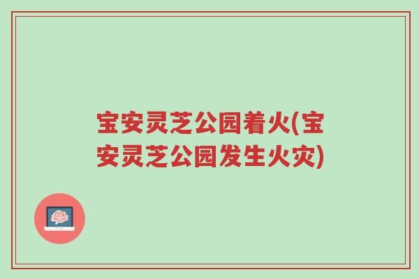 宝安灵芝公园着火(宝安灵芝公园发生火灾)-第1张图片-超越 宝安灵芝公园着火(宝安灵芝公园发生火灾)-第1张图片-超越