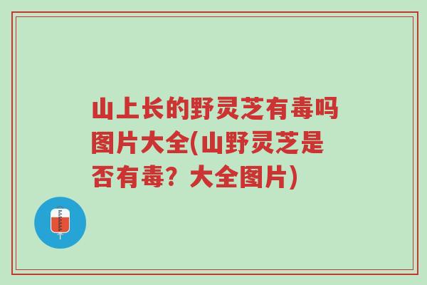 山上长的野灵芝有毒吗图片大全(山野灵芝是否有毒?大全图片)-第1张图片-超越 山上长的野灵芝有毒吗图片大全(山野灵芝是否有毒?大全图片)-第1张图片-超越
