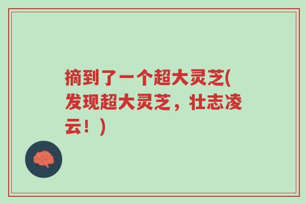 摘到了一个超大灵芝(发现超大灵芝,壮志凌云!)-第1张图片-超越 摘到了一个超大灵芝(发现超大灵芝,壮志凌云!)-第1张图片-超越