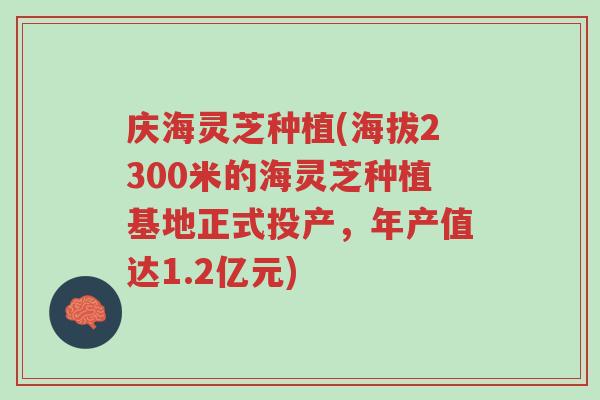 庆海灵芝种植(海拔2300米的海灵芝种植基地正式投产,年产值达1.2亿元)-第1张图片-超越 庆海灵芝种植(海拔2300米的海灵芝种植基地正式投产,年产值达1.2亿元)-第1张图片-超越