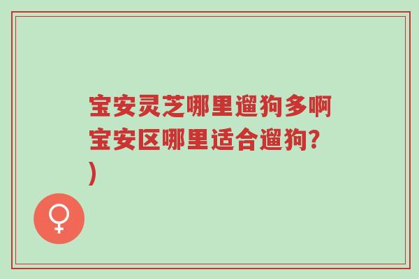宝安灵芝哪里遛狗多啊宝安区哪里适合遛狗?)-第1张图片-超越 宝安灵芝哪里遛狗多啊宝安区哪里适合遛狗?)-第1张图片-超越