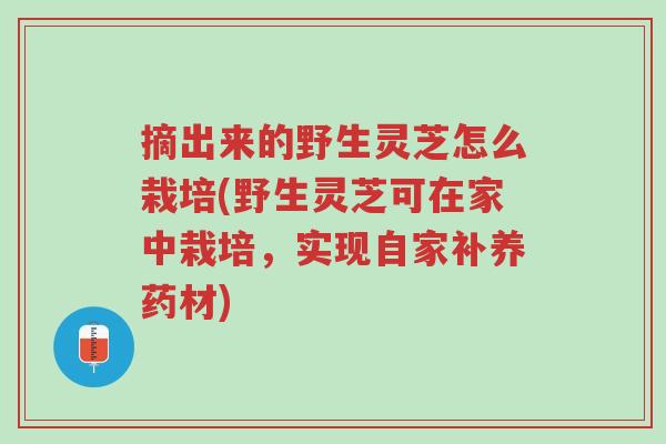 摘出来的野生灵芝怎么栽培(野生灵芝可在家中栽培,实现自家补养药材)-第1张图片-超越 摘出来的野生灵芝怎么栽培(野生灵芝可在家中栽培,实现自家补养药材)-第1张图片-超越