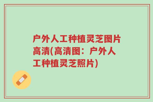 户外人工种植灵芝图片高清(高清图:户外人工种植灵芝照片)-第1张图片-超越 户外人工种植灵芝图片高清(高清图:户外人工种植灵芝照片)-第1张图片-超越