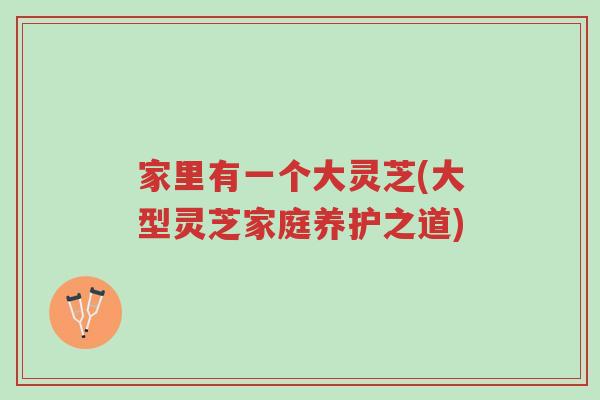 家里有一个大灵芝(大型灵芝家庭养护之道)-第1张图片-超越 家里有一个大灵芝(大型灵芝家庭养护之道)-第1张图片-超越