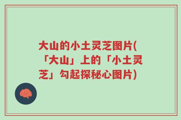 大山的小土灵芝图片(「大山」上的「小土灵芝」勾起探秘心图片)-第1张图片-超越 大山的小土灵芝图片(「大山」上的「小土灵芝」勾起探秘心图片)-第1张图片-超越