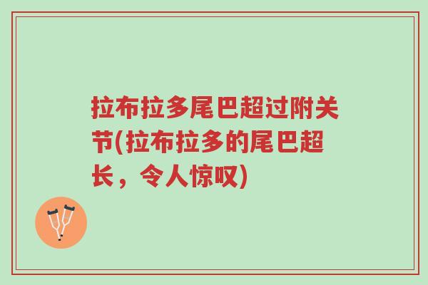 拉布拉多尾巴超过附关节(拉布拉多的尾巴超长,令人惊叹)-第1张图片-超越 拉布拉多尾巴超过附关节(拉布拉多的尾巴超长,令人惊叹)-第1张图片-超越