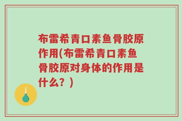 布雷希青口素鱼骨胶原作用(布雷希青口素鱼骨胶原对身体的作用是什么?)-第1张图片-超越 布雷希青口素鱼骨胶原作用(布雷希青口素鱼骨胶原对身体的作用是什么?)-第1张图片-超越