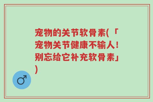宠物的关节软骨素(「宠物关节健康不输人!别忘给它补充软骨素」)-第1张图片-超越 宠物的关节软骨素(「宠物关节健康不输人!别忘给它补充软骨素」)-第1张图片-超越