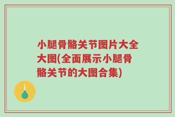 小腿骨骼关节图片大全大图(全面展示小腿骨骼关节的大图合集)-第1张图片-超越 小腿骨骼关节图片大全大图(全面展示小腿骨骼关节的大图合集)-第1张图片-超越