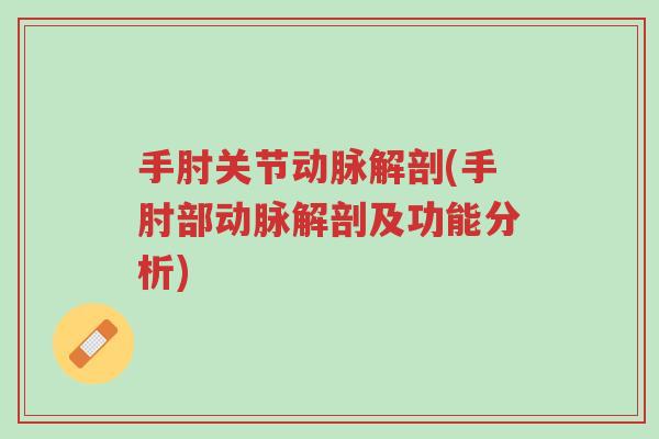 手肘关节动脉解剖(手肘部动脉解剖及功能分析)-第1张图片-超越