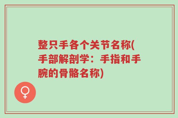 整只手各个关节名称(手部解剖学：手指和手腕的骨骼名称)-第1张图片-超越