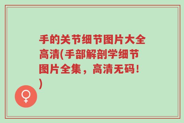 手的关节细节图片大全高清(手部解剖学细节图片全集,高清无码!)-第1张图片-超越 手的关节细节图片大全高清(手部解剖学细节图片全集,高清无码!)-第1张图片-超越