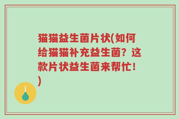 猫猫益生菌片状(如何给猫猫补充益生菌?这款片状益生菌来帮忙!)-第1张图片-超越 猫猫益生菌片状(如何给猫猫补充益生菌?这款片状益生菌来帮忙!)-第1张图片-超越