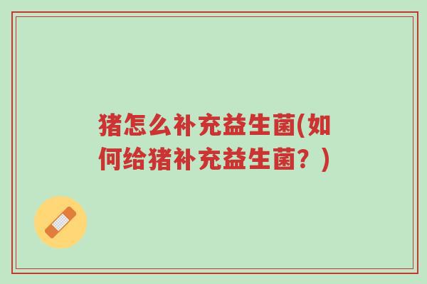 猪怎么补充益生菌(如何给猪补充益生菌?)-第1张图片-超越 猪怎么补充益生菌(如何给猪补充益生菌?)-第1张图片-超越