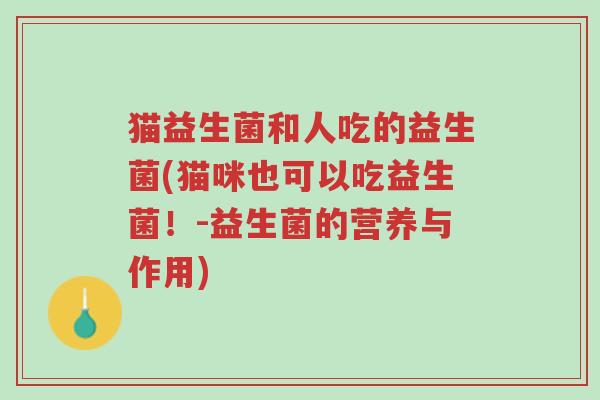猫益生菌和人吃的益生菌(猫咪也可以吃益生菌!-益生菌的营养与作用)-第1张图片-超越 猫益生菌和人吃的益生菌(猫咪也可以吃益生菌!-益生菌的营养与作用)-第1张图片-超越