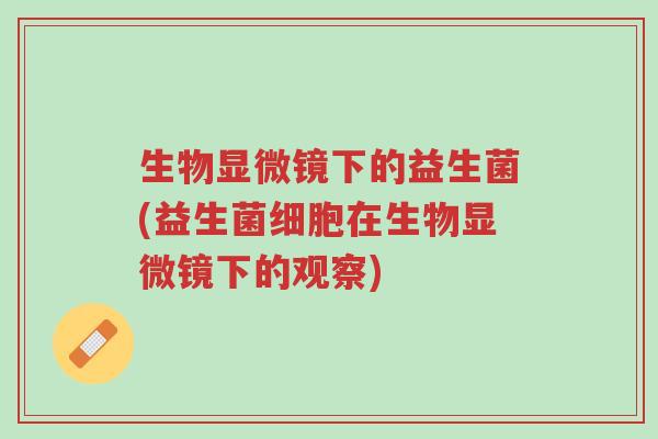 生物显微镜下的益生菌(益生菌细胞在生物显微镜下的观察)-第1张图片-超越