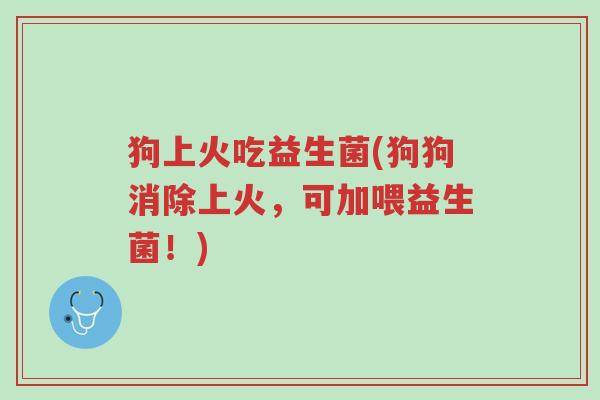 狗上火吃益生菌(狗狗消除上火,可加喂益生菌!)-第1张图片-超越 狗上火吃益生菌(狗狗消除上火,可加喂益生菌!)-第1张图片-超越