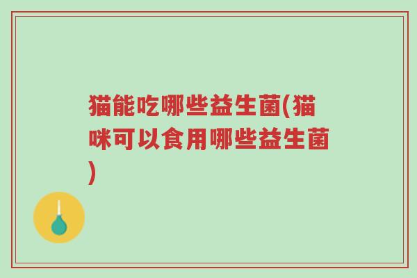 猫能吃哪些益生菌(猫咪可以食用哪些益生菌)-第1张图片-超越 猫能吃哪些益生菌(猫咪可以食用哪些益生菌)-第1张图片-超越