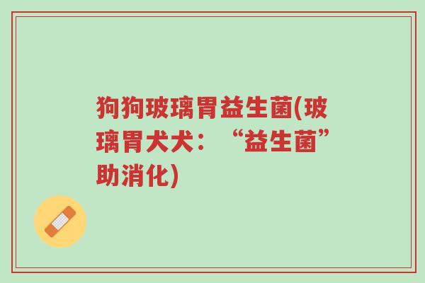 狗狗玻璃胃益生菌(玻璃胃犬犬:“益生菌”助消化)-第1张图片-超越 狗狗玻璃胃益生菌(玻璃胃犬犬:“益生菌”助消化)-第1张图片-超越