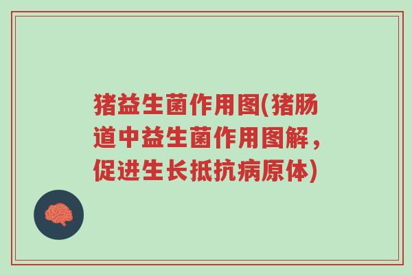 猪益生菌作用图(猪肠道中益生菌作用图解，促进生长抵抗病原体)-第1张图片-超越