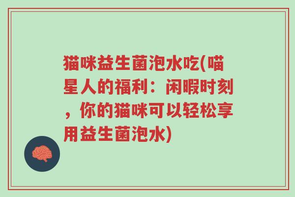 猫咪益生菌泡水吃(喵星人的福利：闲暇时刻，你的猫咪可以轻松享用益生菌泡水)-第1张图片-超越