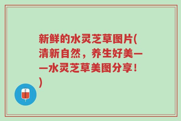 新鲜的水灵芝草图片(清新自然,养生好美——水灵芝草美图分享!)-第1张图片-超越 新鲜的水灵芝草图片(清新自然,养生好美——水灵芝草美图分享!)-第1张图片-超越