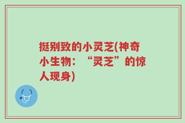 挺别致的小灵芝(神奇小生物:“灵芝”的惊人现身)-第1张图片-超越 挺别致的小灵芝(神奇小生物:“灵芝”的惊人现身)-第1张图片-超越